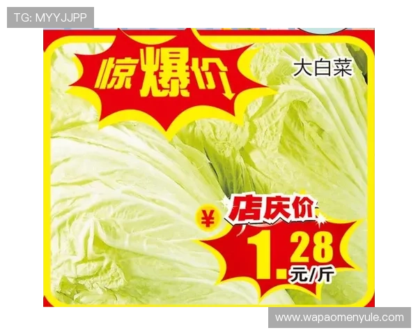 老百汇官网平台优惠活动最新动态与参与方式