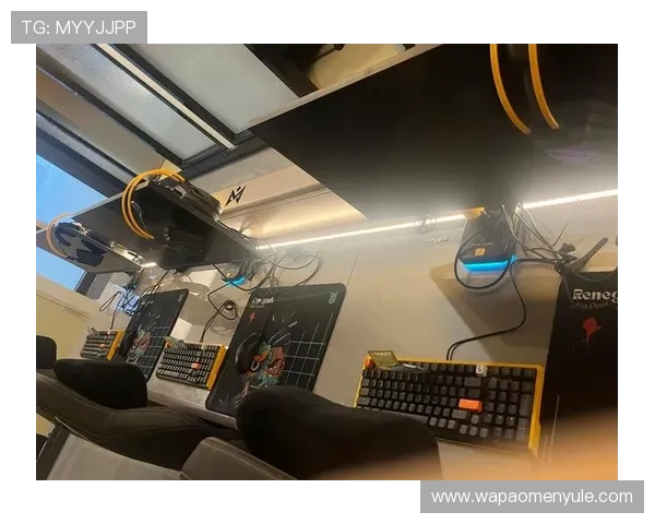 南宫电竞:打造专业化电竞赛事平台的全面解析与未来发展趋势 南宫电竞:打造专业化电竞赛事平台的全面解析与未来发展趋势