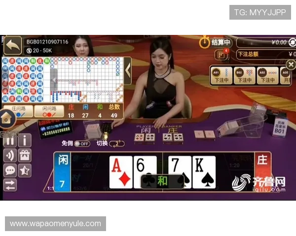 如何利用百家乐庄闲胜率数据优化你的投注计划实现长期盈利 如何利用百家乐庄闲胜率数据优化你的投注计划实现长期盈利